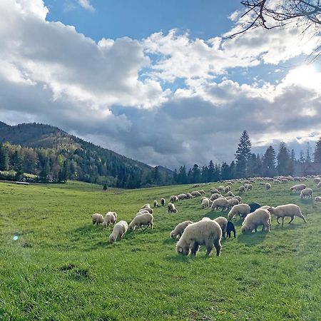 Tamok Lifestyle Villa Zakopane Exteriér fotografie